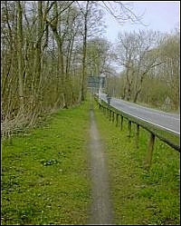 Click to enlarge (c) U. Wachotsch, see link page