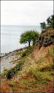 Click to enlarge ...